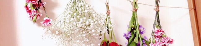 sana_23's header image