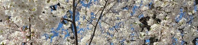 m。m。's header image