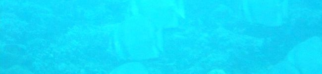 ぽち2551's header image