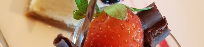 MEPPIE's header image