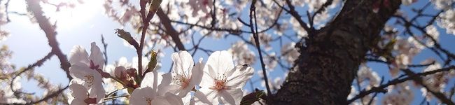 ナミっちー's header image