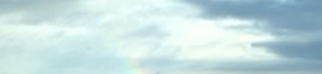 鈍行椎茸's header image