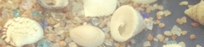 macocoaou's header image