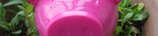 くみぽん22's header image