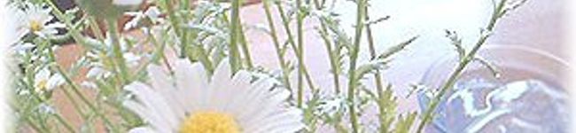 ｈｉｒａｈｉｒａ's header image