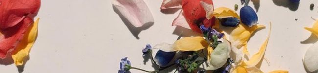 sakis25's header image