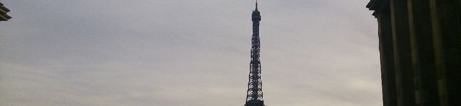 ＊elisa＊'s header image