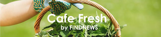 FINDNEWS's header image