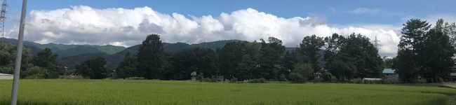 ymdrsyk's header image