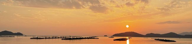 なーぴぃ's header image
