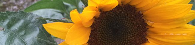 美加0701's header image