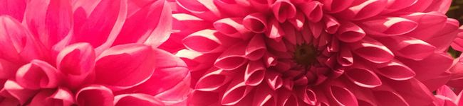 Tomorin110's header image