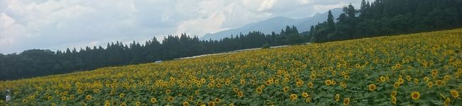 にいのちちち's header image