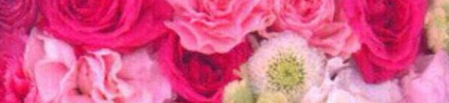 ♡relna♡'s header image