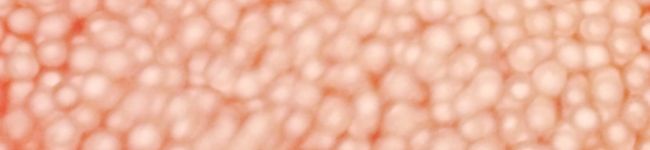 女子力ない系女子's header image