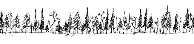 boricco's header image