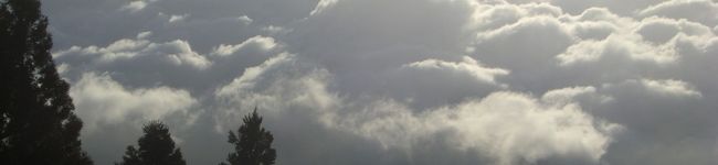 ありもみ's header image