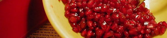 stillesprite's header image