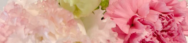 あわっこゆきこ's header image