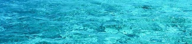 mia☆'s header image