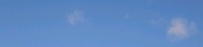 海豚DX's header image