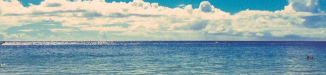 sato＊shi's header image