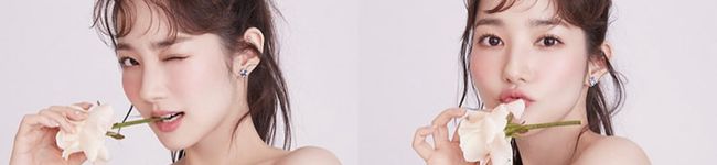 ssmy's header image