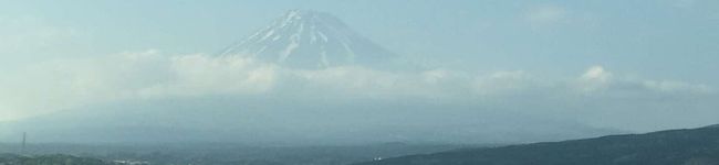 トンコナン's header image