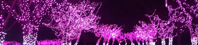ruiまま☆'s header image