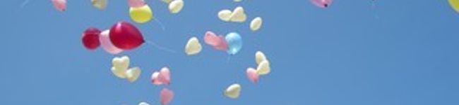 ばるるんばくん's header image