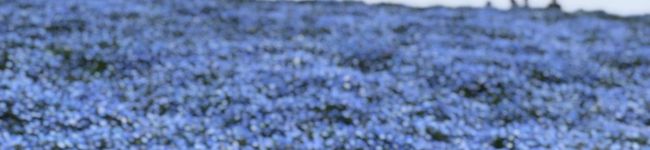 ビスコアイスクリーム's header image
