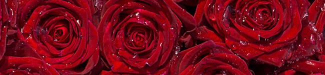 ♡˖こたmama˖♡'s header image