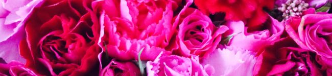 友子食堂's header image