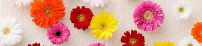 mikky✩'s header image