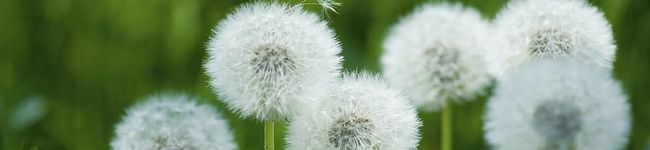 クックKB7269☆'s header image