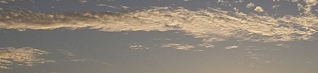 ヤスコクックヤスコ's header image
