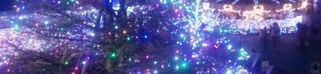 ししししまま's header image