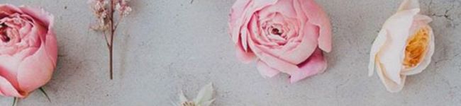 mimiayami's header image