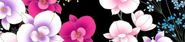 うめぼし♡'s header image