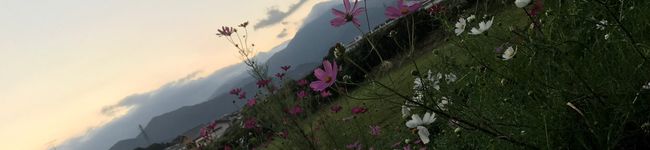 伊波ゆうきゃん's header image