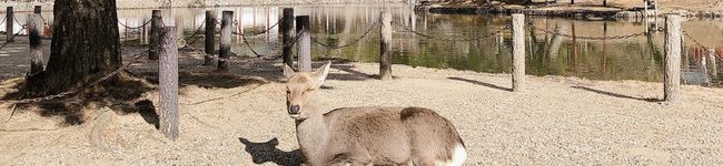TomoMarine's header image
