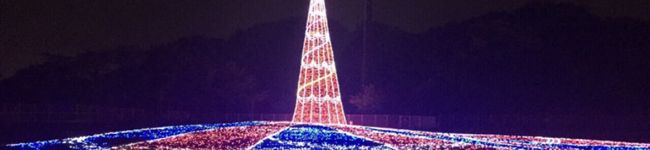 クックちぴ's header image