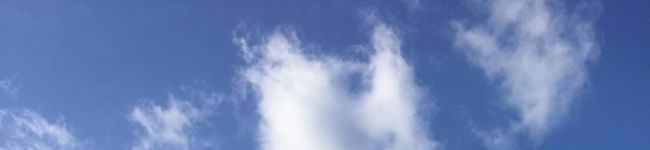 りりん⌘'s header image