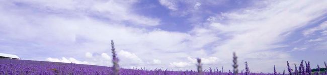 matya's header image