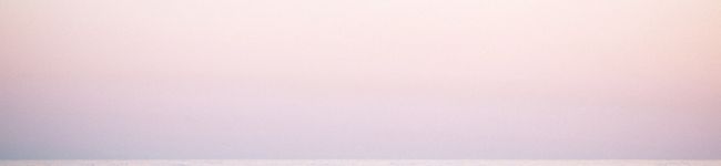 ゾエ添え's header image