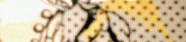 実果n's header image