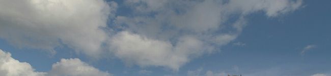 ゆうこりんご☆'s header image