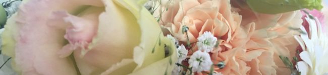 クックZ0ZUZL☆'s header image