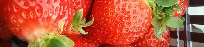 ﾏﾌｨﾁｬﾝ's header image