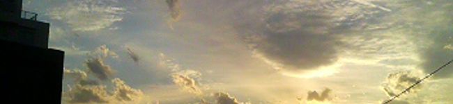 どりい's header image
